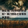 想在澳门找特码的好去处？澳门特码之家等你来发现！