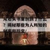 从石头书里刨到了什么？揭秘那些为人所知的秘密和珍宝！