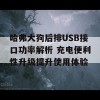 哈弗大狗后排USB接口功率解析 充电便利性升级提升使用体验