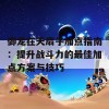 御龙在天扇子加点指南：提升战斗力的最佳加点方案与技巧