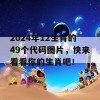 2024年12生肖的49个代码图片，快来看看你的生肖吧！