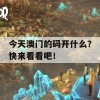 今天澳门的码开什么？快来看看吧！