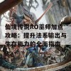 仙境传说RO巫师加点攻略：提升法系输出与生存能力的全面指南