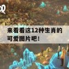 来看看这12种生肖的可爱图片吧！