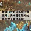 新奥门开将结果查询表图片，快来看看最新的开奖信息和结果吧！