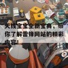 天线宝宝全新宝典，带你了解雷锋网站的精彩内容！