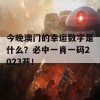 今晚澳门的幸运数字是什么？必中一肖一码2023开！