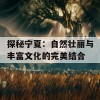 探秘宁夏：自然壮丽与丰富文化的完美结合