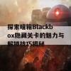 探索暗箱Blackbox隐藏关卡的魅力与解锁技巧揭秘