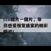 cco图片一图片，带你感受视觉盛宴的精彩瞬间！