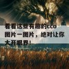 看看这些有趣的cco图片一图片，绝对让你大开眼界！