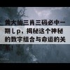 黄大仙三肖三码必中一期乚p，揭秘这个神秘的数字组合与命运的关系！