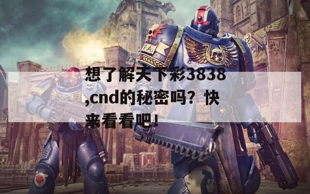 想了解天下彩3838,cnd的秘密吗？快来看看吧！