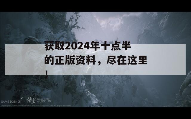 获取2024年十点半的正版资料，尽在这里！