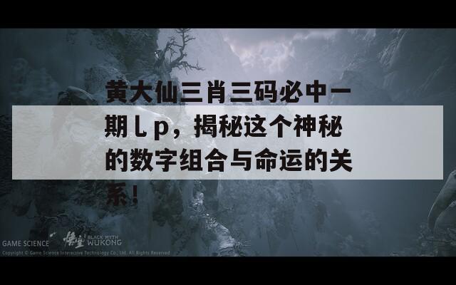 黄大仙三肖三码必中一期乚p，揭秘这个神秘的数字组合与命运的关系！