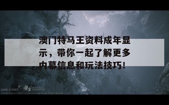 澳门特马王资料成年显示，带你一起了解更多内幕信息和玩法技巧！