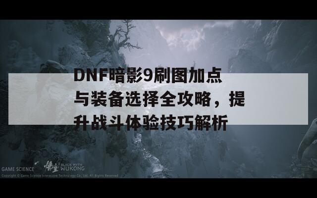 DNF暗影9刷图加点与装备选择全攻略，提升战斗体验技巧解析