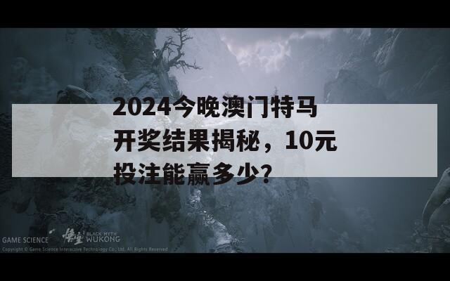 2024今晚澳门特马开奖结果揭秘，10元投注能赢多少？