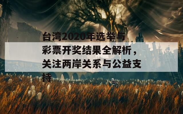 台湾2020年选举与彩票开奖结果全解析，关注两岸关系与公益支持