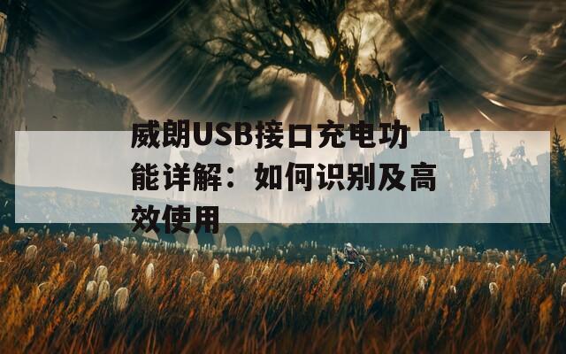 威朗USB接口充电功能详解：如何识别及高效使用