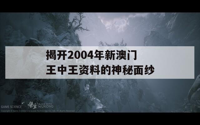 揭开2004年新澳门王中王资料的神秘面纱