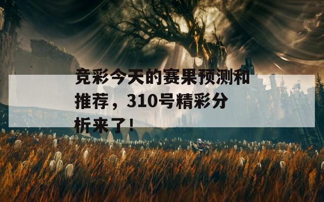 竞彩今天的赛果预测和推荐，310号精彩分析来了！