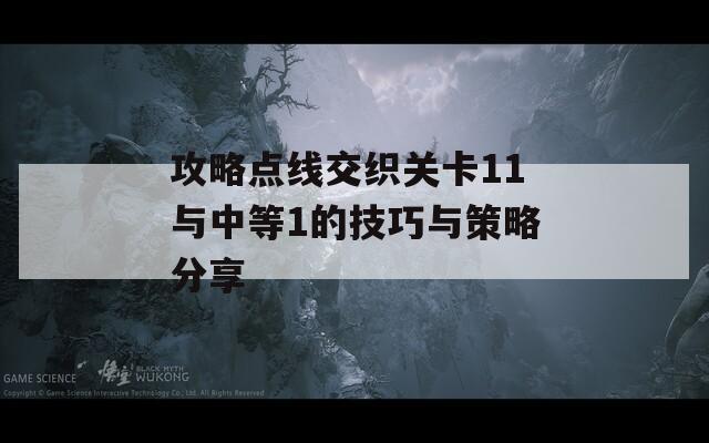 攻略点线交织关卡11与中等1的技巧与策略分享