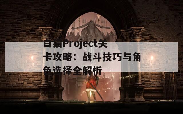 白猫Project关卡攻略：战斗技巧与角色选择全解析