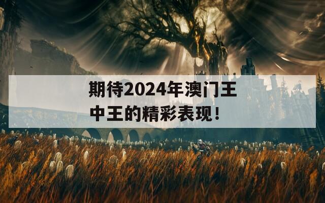 期待2024年澳门王中王的精彩表现！