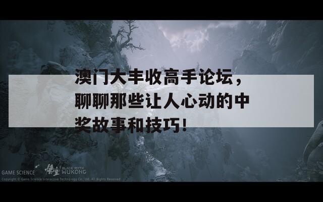 澳门大丰收高手论坛，聊聊那些让人心动的中奖故事和技巧！