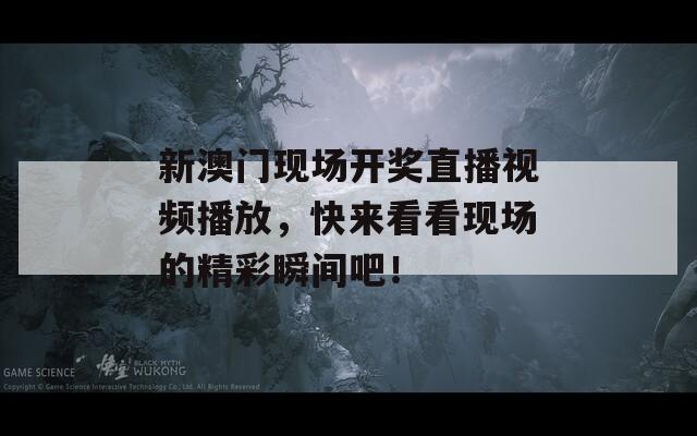 新澳门现场开奖直播视频播放，快来看看现场的精彩瞬间吧！