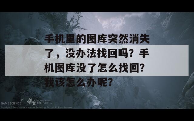 手机里的图库突然消失了，没办法找回吗？手机图库没了怎么找回？我该怎么办呢？