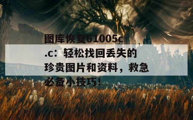 图库恢复61005c.c：轻松找回丢失的珍贵图片和资料，救急必备小技巧！